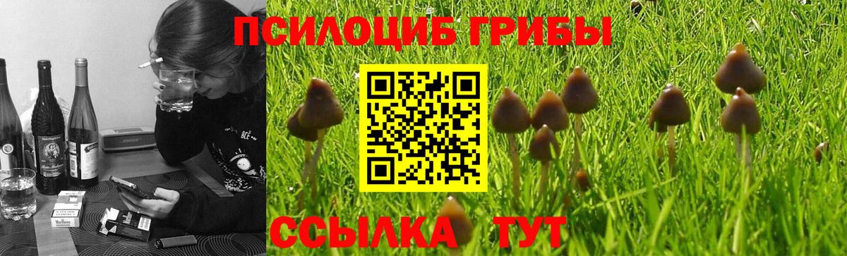 Кизилюрт  Галлюциногенные грибы Magic Shrooms  Вход с VPN 